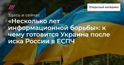 «Несколько лет информационной борьбы»: к чему готовится Украина после иска России в ЕСПЧ