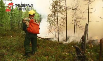 В Ленинградкой области горят 43 гектара лесов Минобороны
