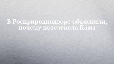 В Росприроднадзоре объяснили, почему позеленела Кама