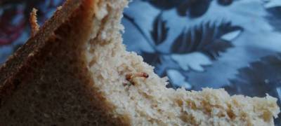 Хлеб попался «с мясом»: жительница Карелии купила буханку с червяками (ФОТО)