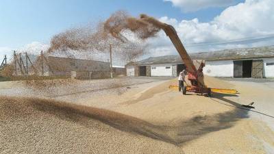 Россия возобновит реализацию зерна из запасов интервенционного госфонда