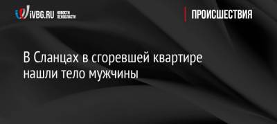 В Сланцах в сгоревшей квартире нашли тело мужчины