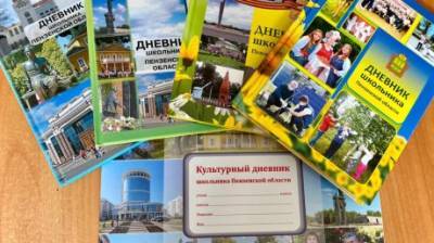 Отсутствие «Дневника школьника Пензенской области» опровергли