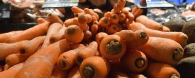 Налетай, подешевело: в Волгоградской области обрушилась цена на морковь