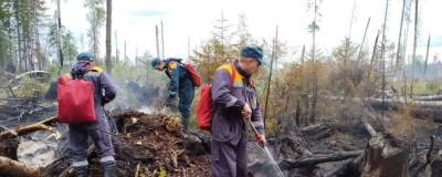 В Вологодской области локализовали четыре лесных пожара