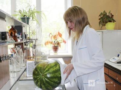 Превышение нормы нитратов обнаружено в арбузе в Нижегородской области