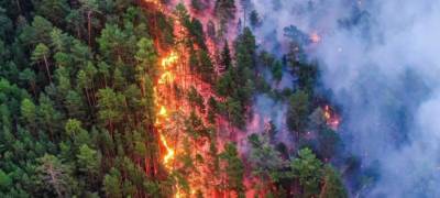 Рослесхоз: за сутки площадь лесных пожаров в Карелии выросла на 1,5 тысячи гектаров