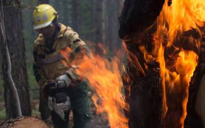 Добровольцы помогают тушить лесные пожары в Якутии