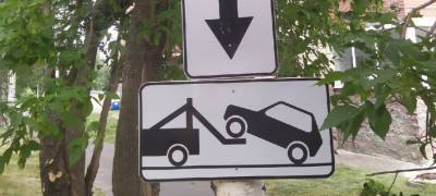 Дорожные знаки прибивают гвоздями к деревьям на улице в Петрозаводске (ФОТОФАКТ)