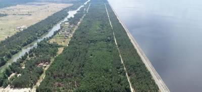 Полиция Киевщины купила гектар земли возле озера в Буче за 2 тыс. грн