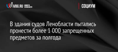 В здания судов Ленобласти пытались пронести более 1 000 запрещенных предметов за полгода