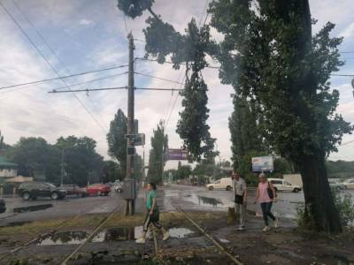 Стихия в Одессе: часть общественного транспорта не ходит