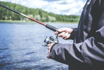 1,4 миллиона рублей штрафа должны заплатить браконьеры за ловлю рыбы электрическим снастями во Владимирской области