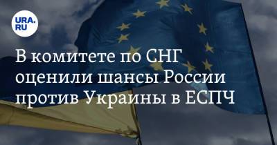 В комитете по СНГ оценили шансы России против Украины в ЕСПЧ