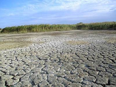 В Свердловской области ввели режим ЧС из-за засухи
