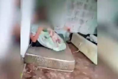 Стали известны подробности обнаружения шести детей-маугли в погребе под Москвой