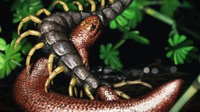 Крошечную древнюю рептилию назвали в честь заклятого врага Тора