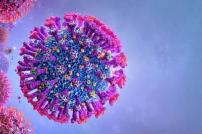 В России выявлен «бразильский» штамм коронавируса