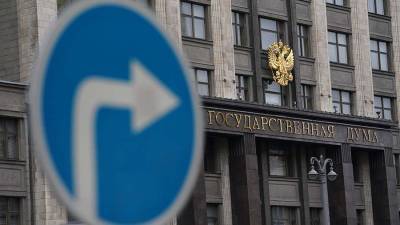 В Госдуме прокомментировали жалобу Москвы на Киев в ЕСПЧ
