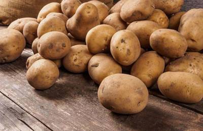 Мнение: Рынок продовольственного картофеля требует больше инвестиций в добавленную стоимость