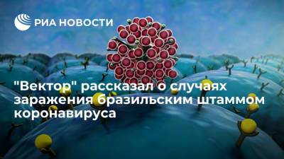 Центр "Вектор": случаи заражения бразильским штаммом коронавируса в России единичные