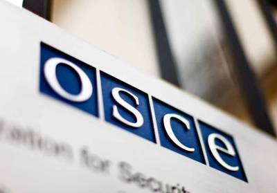 Российская делегация пригрозила покинуть форум ОБСЕ в случае продолжения «лживой риторики» Украины