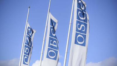 Российская делегация пригрозила покинуть форум ОБСЕ из-за риторики Киева