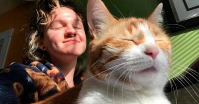 Кот пришел домой через 9 месяцев после кремации и шокировал хозяйку