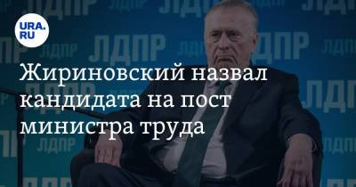 Жириновский назвал кандидата на пост министра труда