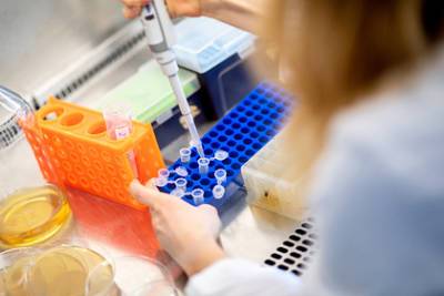 Ученые в Финляндии назвали срок сохранения антител к коронавирусу