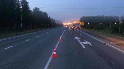 В Челябинской области грузовик раздавил мужчину, лежавшего на дороге