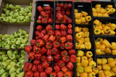 Первую в России группу по мониторингу цен на овощи могут создать на Кубани