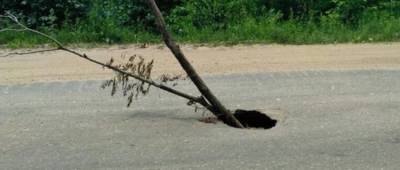 В оккупированном Донецке ямы на дорогах закрывают ветками деревьев (фото)