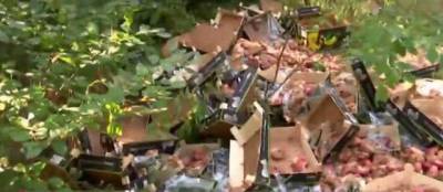 Возле парка Партизанской славы: в Киеве стихийные торговцы выбросили ящики с фруктами
