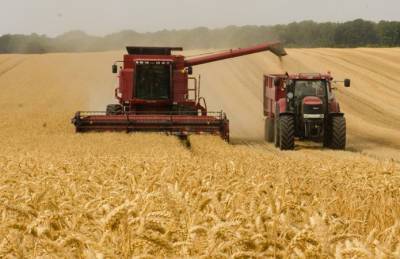 Урожай-2021: еще одна область Украины прошла миллионный рубеж