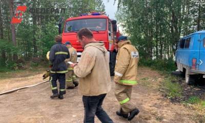 Площадь лесных пожаров в Карелии снова увеличилась
