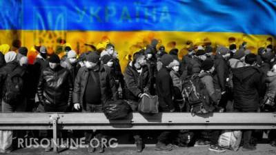 Жительница Украины в прямом эфире озвучила “неудобную правду” для Киева