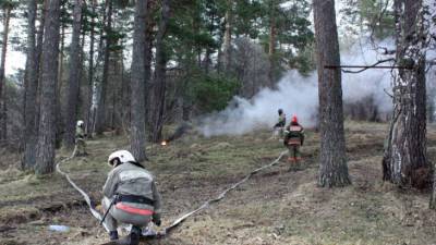 Вильфанд назвал причину лесных пожаров в Якутии