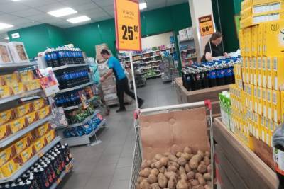 Картофель резко подешевел в Новосибирске