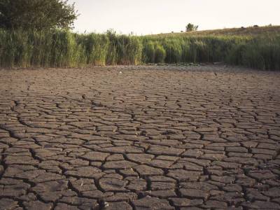 Оренбургской области угрожает засуха