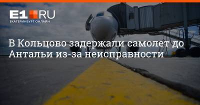В Кольцово задержали самолет до Антальи из-за неисправности