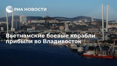 Два ракетных фрегата ВМФ Республики Вьетнама прибыли во Владивосток на празднование Дня ВМФ