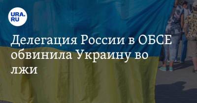 Делегация России в ОБСЕ обвинила Украину во лжи