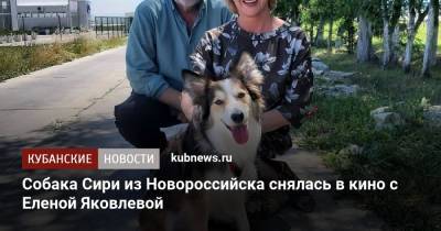 Собака Сири из Новороссийска снялась в кино с Еленой Яковлевой