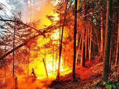 Половина населения Якутии попадала в зоны задымления из-за лесных пожаров
