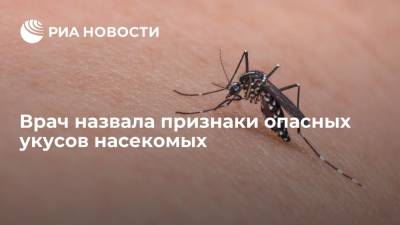 Врач аллерголог-иммунолог Максимова рассказала, когда после укуса комара можно попасть в больницу
