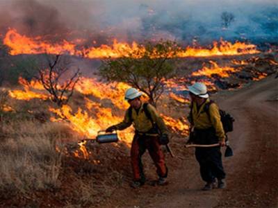 Пожарные на западе США борются с огнем на территории почти 600 тыс. га