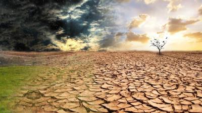 Засухи стали причиной смерти 650 тыс. человек за последние 50 лет - ООН