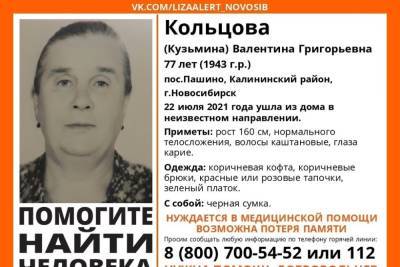 В Новосибирске волонтеры всю ночь искали 77-летнюю пенсионерку с потерей памяти