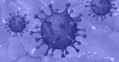 В США заявили об отсутствии окончательного вывода по вопросу происхождения коронавируса